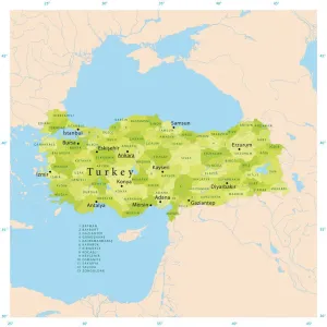 Highly Detailed Turkey Vector Map Print for CMYK
