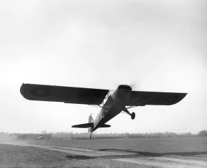 La Seconda Guerra Mondiale Stampe: Austriaco IV