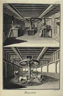 Denis Diderot Art Stampe: 0 0