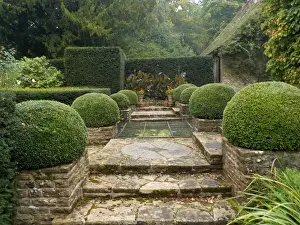 Formal Garden Design Stampe: 1 Date