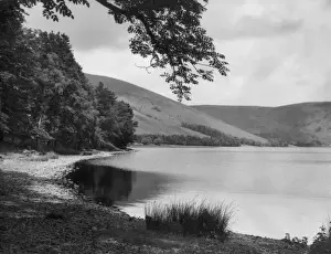Peaceful Lake Scene Stampe: 10185379