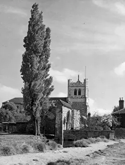 Vintage Rural Landscape Photography Stampe: 10185804