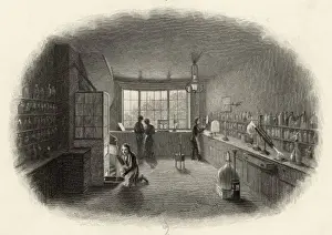 19th Century Scientists Stampe: 1850 Laboratory