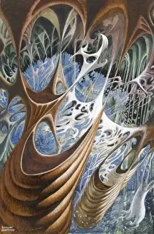 Raymond Sheppard Artwork Stampe: Abstract view of an underground cavern
