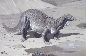 Armoured Dinosaurs Stampe: Acanthopholis