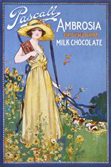 Early 20th Century Food Ads Stampe: Advert / Devonshire Choc