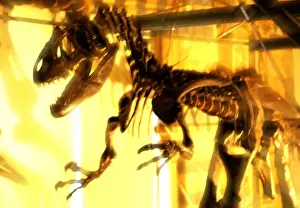 Carnivorous Dinosaurs Stampe: Allosaurus