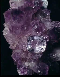 Mineral Specimen Photography Stampe: Amethyst