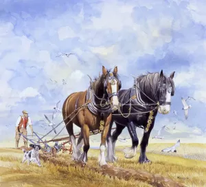 Stampe di Due cavalli pesanti tirano una pianta da coltivatore attraverso un campo di mais tagliato appena poco tempo fa. Pittura di Malcolm Greensmith Immagini Correlate Stampe: Cavalli tirano il giogo