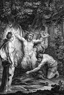 Apollo Mythology Stampe: APOLLO