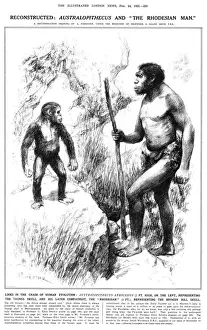 Miniopteridae Stampe: L'Australopiteco e l'uomo di Rodia
