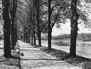 Worcestershire Landscape Photography Stampe: Avenue of Trees