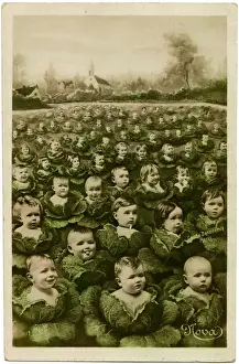 I Bambini Stampe: Bambini in un campo di cavoli.