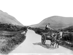 County Donegal Landscape Stampe: Barnesmore Gap