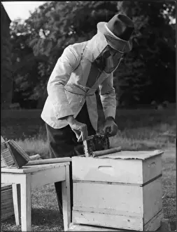 Apiculture Practices Stampe: BEE KEEPER