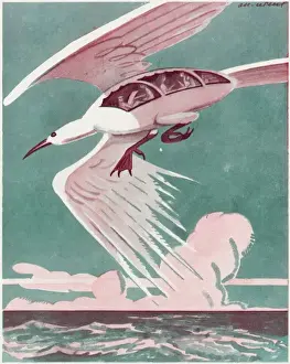 Retro Air Travel Posters Stampe: Is it a Bird ?