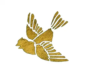 Natural History Museum Art Stampe: Bird from decorative ceiling panel