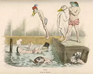 Garden Wildlife Images Stampe: Birds Bathing