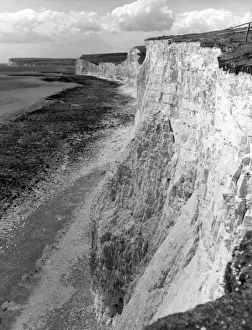 English Coastline Images Stampe: Birling Gap Cliffs