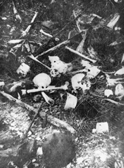 World War 1 Battlefield Stampe: Bones 1916