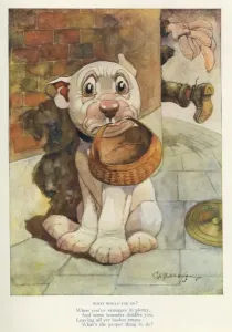 Bonzo Stampe: Cosa Faresti