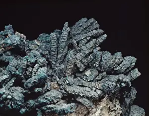 Bornite Mineral Stampe: Bornite