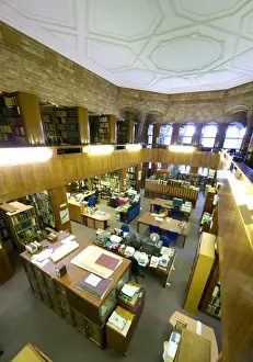 Natural History Museum Interior Stampe: The Botany Library