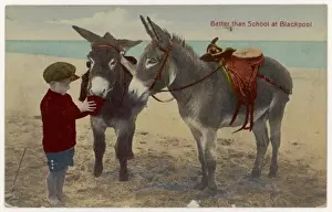 Blackpool Beach Scene Stampe: Boy and Two Donkeys