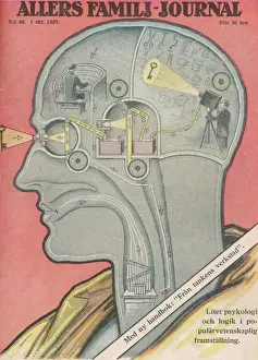 Cosa fa il cervello