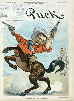 Political Satire Prints Stampe: Branded but not broken