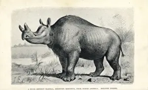 Stampe di Brontops robustus.. Litografia dopo un'illustrazione di J. Smit da H. N. Hutchinsons Mostri estinti e creature d'altri tempi, Chapman and Hall, Londra, 1894 Robusto Stampe: Brontops robustus