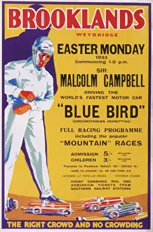 Stampe di Un manifestino per il programma di gara al Brooklands Race Track a Weybridge, Surrey, che presenta Sir Malcolm Campbell guidando (in quel momento) la vettura più veloce del mondo, Bluebird Sport Motoristici Stampe: Poster di Brooklands