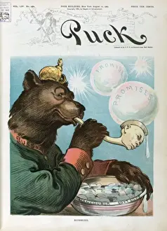Russian Bear Cartoon Stampe: Bubbles