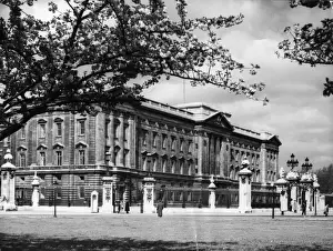 Palazzo Stampe: Palazzo di Buckingham