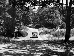 Leisure Activities In England Stampe: Burnham Beeches