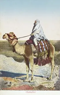 Conduttore di Cammello