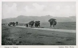 Caravan Stampe: Viaggio di caravana a Peshawar