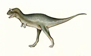 Carnivorous Dinosaurs Stampe: Carnotaurus