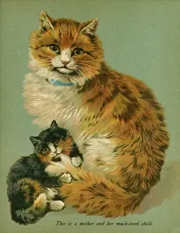 Ginger Kitten Stampe: Cat and her Kitten