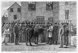 Charles Stewart Parnell Image Stampe: Cattle Seized
