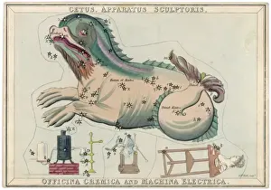 Grafici Stellari Stampe: Carta stellare del Cetaceo