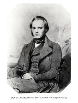 Naturalist Portraits Stampe: Charles Robert Darwin