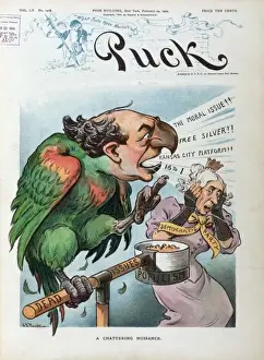 William Jennings Bryan Cartoon Stampe: A chattering nuisance