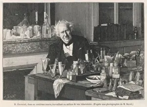 French Scientist Biography Stampe: Chevreul, at Work