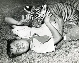 Il Circo Chipperfields - Tigre - Kumar
