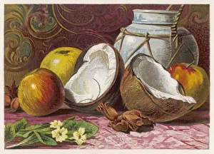 Tropical Fruit Display Stampe: Coconuts and other Fruit