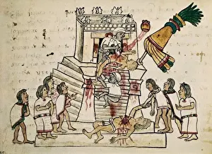 Aztec Human Sacrifice Stampe: Codex Magliabecchi