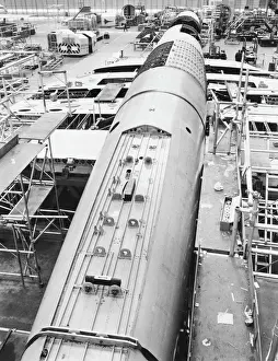 Concorde Stampe: Concordia 002
