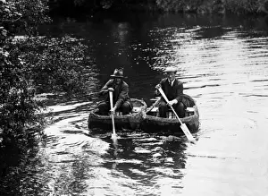 Marine Life Stampe: CORACLES
