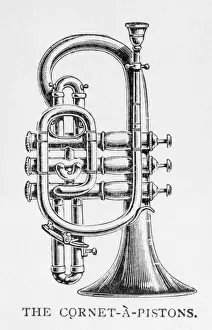 Brass Band Music Stampe: Cornet on its Own